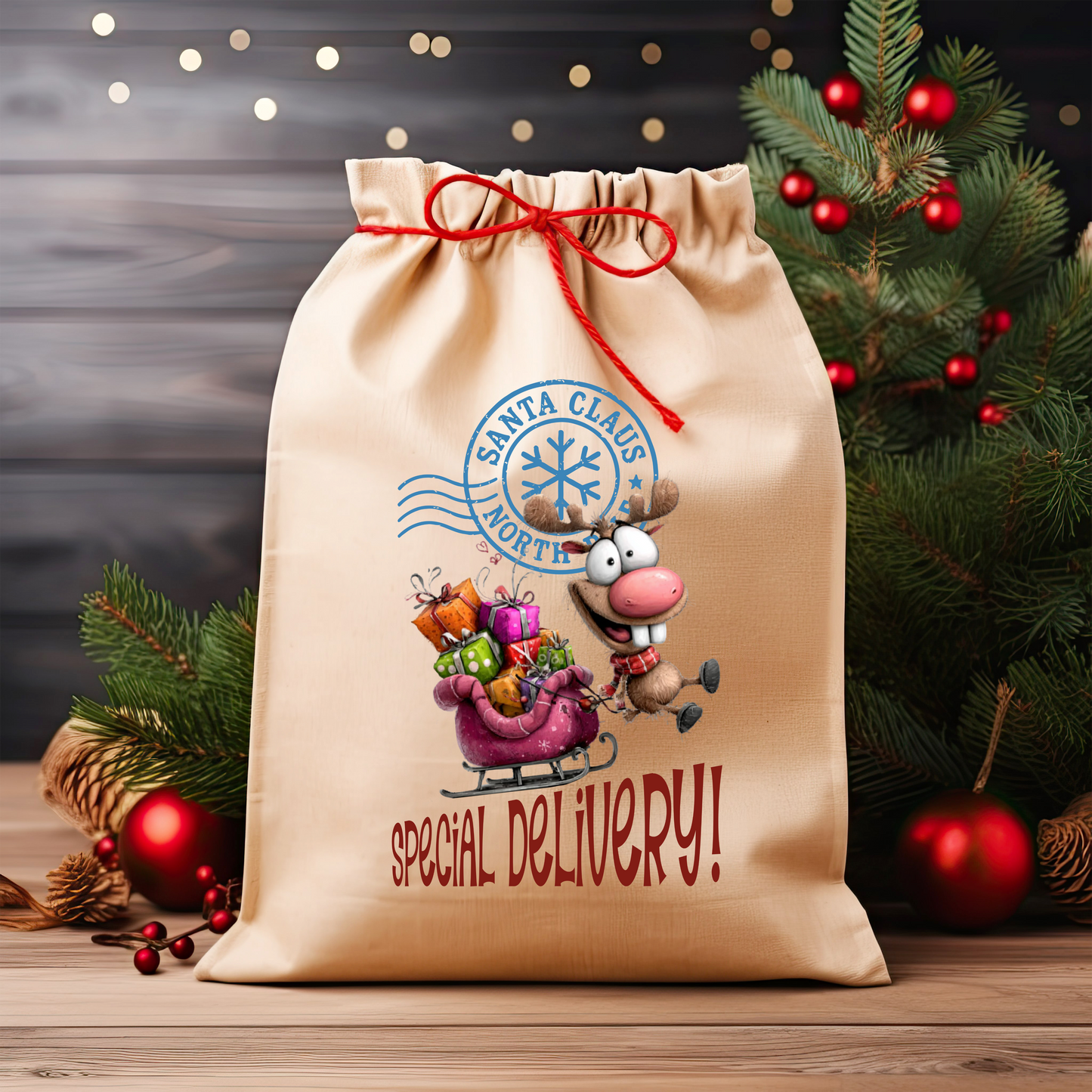 Christmas Santa Sacks