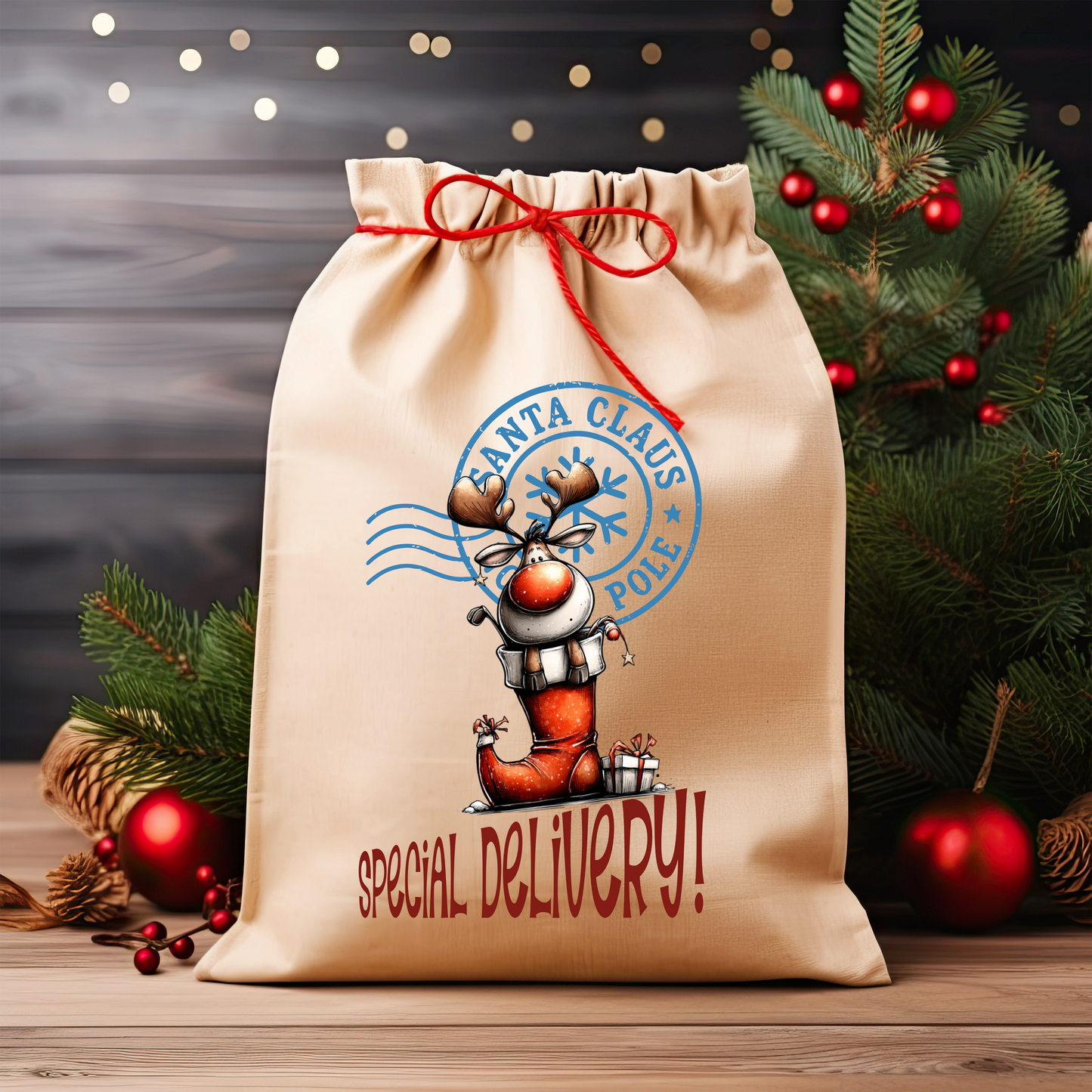 Christmas Santa Sacks