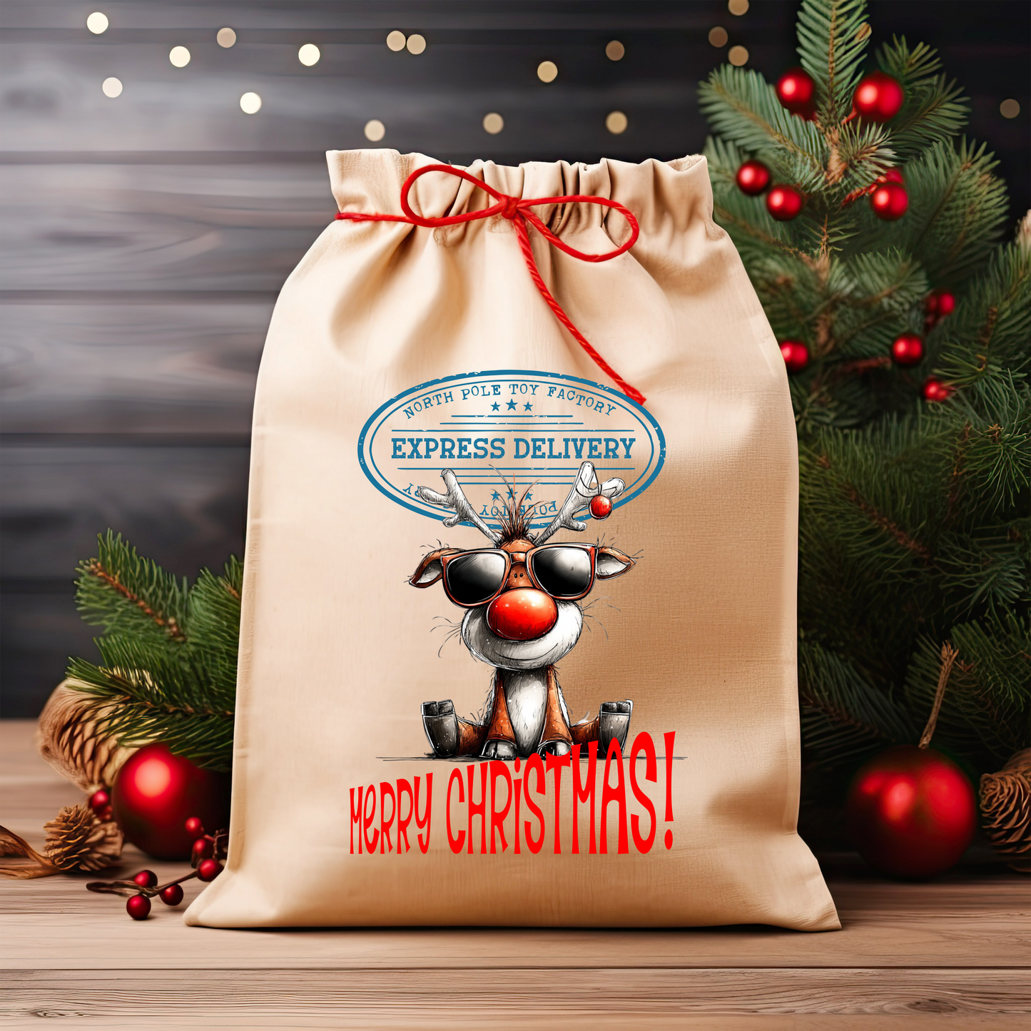 Christmas Santa Sacks